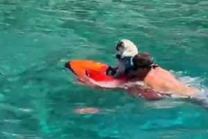 Ανδρέας Λοβέρδος: Κάνει μαθήματα ντραμς ακόμη και σε παραλία - Οι φωτογραφίες στα social media [εικόνες]