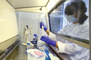 Φως στην εξέλιξη του κορονοϊού: Σχεδόν 200 μικρές μεταλλάξεις - Δεν υπήρξε "ασθενής μηδέν" - εικόνα 2