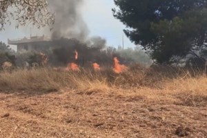 Πνευμονολόγοι: Κλείστε πόρτες και παράθυρα, προσοχή σε παιδιά, ηλικιωμένους και εγκύους - Ποιες μάσκες είναι ακατάλληλες