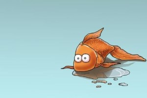 Αρκάς: Το νέο σκίτσο για τα... μπερδεμένα πρόβατα και τον λύκο - εικόνα 2