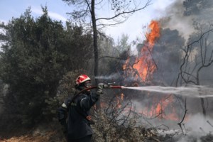 Beriev-200: Στην Ελλάδα το θηριώδες ρωσικό πυροσβεστικό αεροπλάνο - Μεταφέρει έως 12 τόνους νερό - εικόνα 3