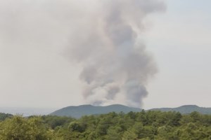 Μεσσηνία: Φωτιά στην περιοχή του Χαρακοπιού - Προσπάθεια να οριοθετηθεί