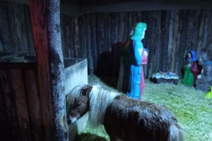 Αντιδράσεις για το ζωντανό πόνι στη φάτνη του Βόλου - "Αυτοί οι τύποι ζουν στον δικό τους κόσμο" απαντά ο Μπέος