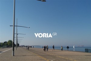 Απίστευτο: Τα αγριογούρουνα έφτασαν στις αυλές των σπιτιών στη Φθιώτιδα [Βίντεο] - εικόνα 3