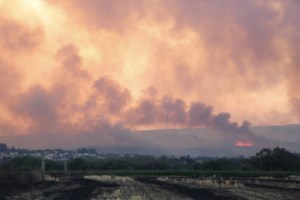 Μεγάλο το πύρινο μέτωπο στην Εύβοια: Μήνυμα από το 112, εκκενώνονται Νότια Ψαχνά και Βόρεια Αρτάκη [εικόνες - βίντεο] - εικόνα 9