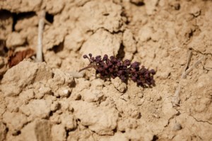 UNICEF: 20.000 εκτοπισμοί παιδιών την ημέρα λόγω της κλιματικής κρίσης