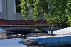 Σέρρες: Yπάλληλοι καθαριότητας δεν χρησιμοποιούν υπερσύγχρονα μηχανήματα, γιατί φοβούνται ότι έχουν GPS και θα τους εντοπίζουν