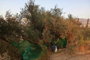 Άναψαν τα αίματα στο ΔΣ της Αθήνας: "Έχουμε δήμαρχο βιτρίνα" - Η ατάκα για τη Χρυσή Αυγή που προκάλεσε έκρηξη