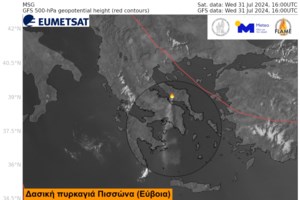 Φωτιά στην Εύβοια: Σε άγριο πουλί οφείλεται η χθεσινή καταστροφική πυρκαγιά - Πώς ξέσπασε - εικόνα 2