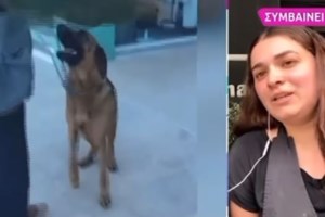 Πρεμιέρα για Γκουντάρα και Κάκκαβα: "Δεν υπάρχει κάτι να ξεκαθαρίσουμε με την Κατερίνα Καινούργιου"