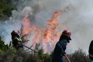 Καλύτερη η εικόνα της μεγάλης φωτιάς στην Πάρο: Υπάρχουν ακόμη διάσπαρτες εστίες - Ενισχύονται οι δυνάμεις πυρόσβεσης από Σάμο, Νάξο και Αθήνα - εικόνα 4