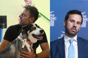 Dogs' Voice: Τι λέει για την υπόθεση υιοθεσίας του πυρόπληκτου σκύλου από τον Στέφανο Κασσελάκη - εικόνα 3