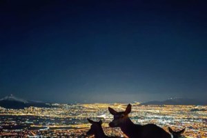 Ελληνικό: Άνοιξε τις πύλες του το εντυπωσιακό Experience Park - Ξεχωρίζει το επιβλητικό Stalactite [Μοναδικές εικόνες] - εικόνα 10