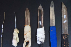 Χασισοφυτεία "μαμούθ" με 14.000 δενδρύλλια στα Γρεβενά [Εικόνες-Βίντεο] - εικόνα 3