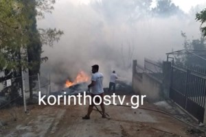 Κόρινθος: Εντόπισαν νεκρή 45χρονη σε χωματόδρομο - Στο σημείο η αστυνομία