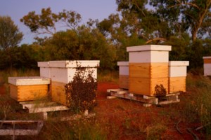 Πολιτική θύελλα από το σκάνδαλο του ΟΠΕΚΕΠΕ: Νέοι αποκαλυπτικοί διάλογοι που οδήγησαν στο ντόμινο παραιτήσεων - εικόνα 2