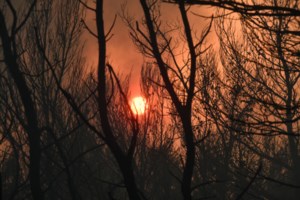 Μήνυμα 112 προς όλους τους πολίτες: Απαγορεύεται η πρόσβαση σε δάση και άλση μέχρι τη Δευτέρα - εικόνα 2