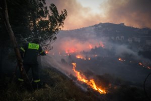 Φωτιά στην Πεντέλη: Η συγκλονιστική στιγμή που εθελοντής σώζει σκύλο πηδώντας φράχτη [Βίντεο]