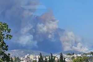 Φωτιά στην Εύβοια: Σε ένα ενιαίο μέτωπο η πυρκαγιά, στάχτη πάνω από 6.500 στρέμματα - Δεν κινδυνεύουν σπίτια - εικόνα 3