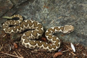 Απίστευτο: Γιαγιά παράτησε την εγγονή της σε αεροδρόμιο για να προλάβει την πτήση της