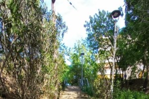 Ενα σπάνιο και πανέξυπνο πλάσμα, που από μωρό κέρδισε τον σεβασμό για όσα έχει καταφέρει να ξεπεράσει - Ο Ακίτα - εικόνα 4