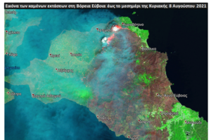 Γεωργιάδης για τις φωτιές: Ο πρωθυπουργός θα καταλογίσει τις ευθύνες όταν έρθει η ώρα