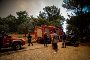 Στις φλόγες η Ρόδος για 7η μέρα: Εκκενώνεται και η Κάλαθος - Τρία ενεργά μέτωπα, αναζωπυρώσεις και άνεμοι έως 8 μποφόρ - εικόνα 6