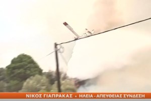 Ηλεία: Ανεξέλεγκτες διαστάσεις έχει πάρει η φωτιά  - Στις αυλές των σπιτιών οι φλόγες στη Νεμούτα - Νέα εκκένωση δύο οικισμών - εικόνα 3