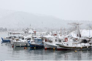 Σέρρες: Με σορτσάκι στα χιόνια έδωσε ανθοδέσμη για του Αγίου Βαλεντίνου