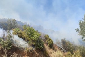 Μάχη με πύρινα μέτωπα σε Εύβοια, Κύθηρα, Μεσσηνία: Κάηκαν σπίτια, πυροσβεστικά - Μπαράζ  112 - Φωτιά και στην Αττική - εικόνα 9