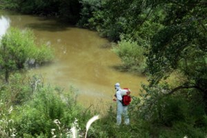 Ιός Δυτικού Νείλου: Άλλα 14 κρούσματα στην Ελλάδα την τελευταία εβδομάδα - 268 συνολικά