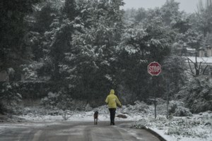 Καλλιάνος: Υποχωρεί ο "Λέανδρος", παραμένει ο παγετός και οι πολικές θερμοκρασίες - Πότε ανεβαίνει η θερμοκρασία