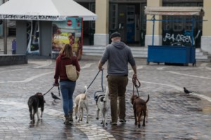 Lockdown: Τι SMS στέλνουμε για μετακίνηση σε δικαστήρια, δικηγόρους και συμβολαιογράφους