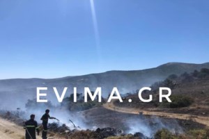 Εύβοια: Οριοθετήθηκε η φωτιά στους Ραπταίους - Σε επαγρύπνηση η πυροσβεστική