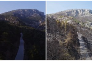 Έτσι κάηκε η Πάρνηθα: Ντοκουμέντο δείχνει τη δράση των εμπρηστών- Νέες εστίες πολλά μέτρα μακριά και κόντρα στον άνεμο - εικόνα 2