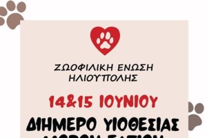 Σκιώδες παγκόσμιο δίκτυο ακρωτηριάζει και σκοτώνει γάτες για το κέρδος - Πληρώνουν για βίντεο με βασανιστήρια κατά παραγγελία - εικόνα 5