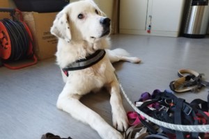 Ο Μπάρνεϊ χαμογελάει ολόκληρος - Ακόμα και τα μάτια του και ας είναι τυφλός - Τι κι αν δεν βλέπει