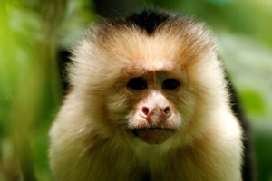 Σάλος στη Βρετανία: Παρουσιαστής του BBC κατηγορείται ότι πλήρωνε έφηβο για φωτογραφίες πορνό