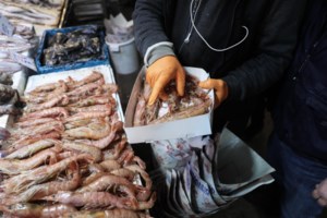 Η τεχνολογία στην υπηρεσία του... χαρταετού - QR code με οδηγίες στο κινητό για το τέλειο πέταγμα - εικόνα 3