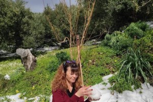 Κρήτη: "Ηλία ρίχ' το" σε γλέντι γάμου - Έσπασαν με κομπρεσέρ τα πλακάκια [Βίντεο] - εικόνα 2