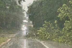 Κοζάνη: Εκτεταμένες καταστροφές στον κάμπο του Βελβεντού από ξαφνικό μπουρίνι [εικόνες] - εικόνα 4