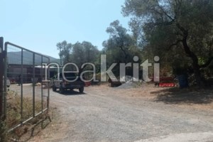 Ρέθυμνο: Γιατί έκοψαν τη γλώσσα του 69χρονου κτηνοτρόφου μετά την επίθεση - Χωρίς κινητό ο δράστης [βίντεο] - εικόνα 3