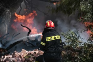Φωτιά Αλεξανδρούπολη: Σε εξέλιξη μεγάλη επιχείρηση της Πυροσβεστικής στο Τριφύλλι - εικόνα 2