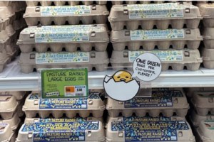 ΗΠΑ: Συνελήφθη Τουρκάλα φοιτήτρια με αφορμή ένα άρθρο γνώμης για το Μεσανατολικό - εικόνα 2