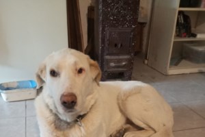 Την έβγαλαν Μακαρένα θεωρώντας πως το όνομα θα λειτουργήσει σαν θετική ενέργεια που θα την κάνει να σηκωθεί - εικόνα 2