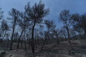 Λέκκας για φωτιές: Μετά από μια μεγάλη πυρκαγιά αυξάνει 3 φορές ο κίνδυνος για πλημμύρες και 6 για κατολισθήσεις
