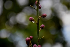 Σάκης Αρναούτογλου: Μπόρες και καταιγίδες την Πέμπτη - Ο καιρός μέχρι τις εκλογές [βίντεο]