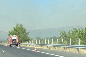 Φωτιά στην Αλεξανδρούπολη: Εκκενώθηκαν Νίψα, Πεύκα και Αετοχώρι - Νέο μήνυμα από το 112