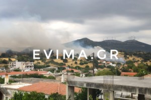 Ανείπωτη τραγωδία στην Εύβοια: Μεγαλώνει η λίστα του θανάτου - Στους επτά οι νεκροί - Καρέ - καρέ η βιβλική καταστροφή  [Εικόνες-Βίντεο] - εικόνα 9