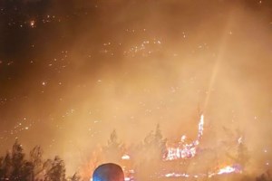 Στη Φυλή έχει πέσει το βάρος στη φωτιά της Πάρνηθας- Μάχη με τις αναζωπυρώσεις σε Έβρο και Βοιωτία [Εικόνες-Βίντεο] - εικόνα 4